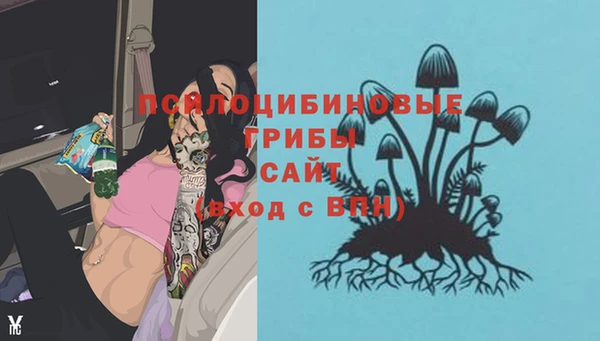 круглые Весьегонск